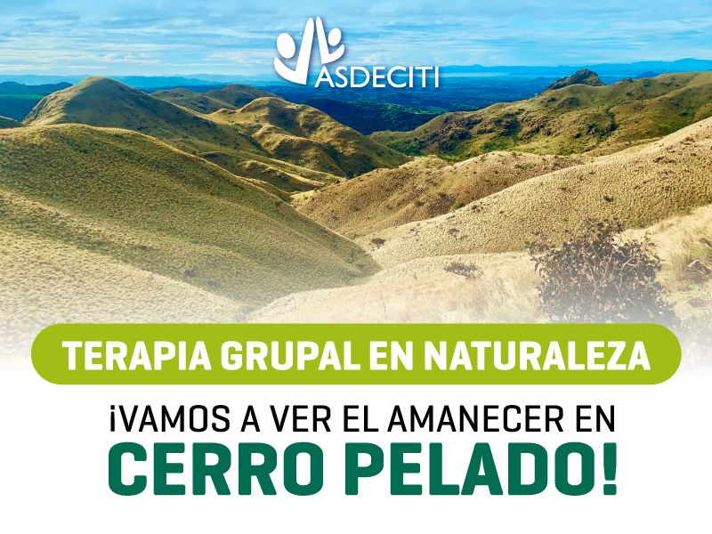 Terapia Grupal en naturaleza ¡Vamos a ver el amanecer en Cerro Pelado!